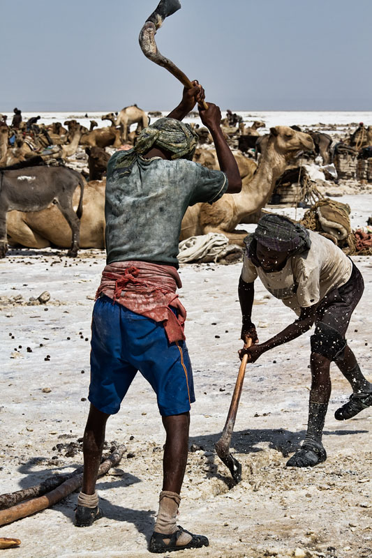  Hard work by the saltworkers on Lake Asale   Ethiopia